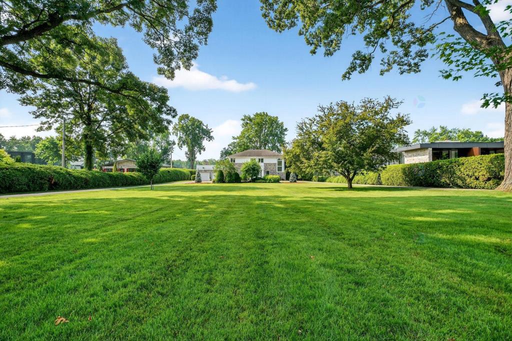 media - 2025-08-12T161005.369