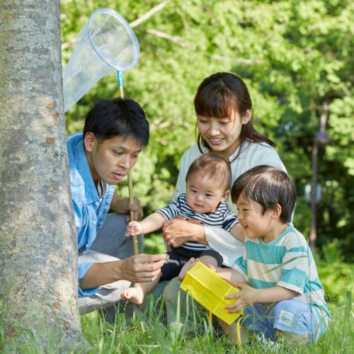 Cet automne, CANOPÉE propose une série d’activités pour découvrir les merveilles des forêts urbaines de Laval. (Photo Gracieuseté CANOPÉE)