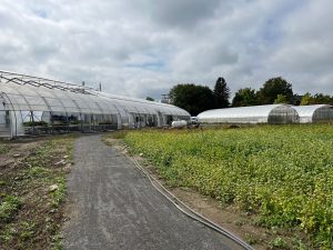 Les Jardins du Monarque.(Photo 2M.Media – Geneviève Quessy)