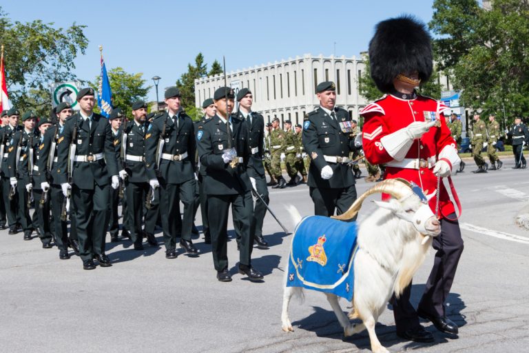 Une parade militaire aura lieu ce week-end à Laval La mascotte du Royal 22e Régiment, le bouc Batisse, paradant en compagnie des militaires du 4e Bataillon lorsque ceux-ci ont exercé leur Droit de Cité, à Laval, en 2017. (Photo 2M.Media - Archives - Stéphane Grégoire/Photographe)