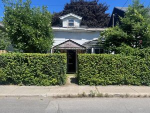 media - 2025-09-17T164853.785