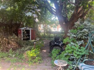 media - 2025-09-17T164927.100