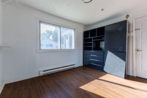 media - 2025-09-17T165436.090