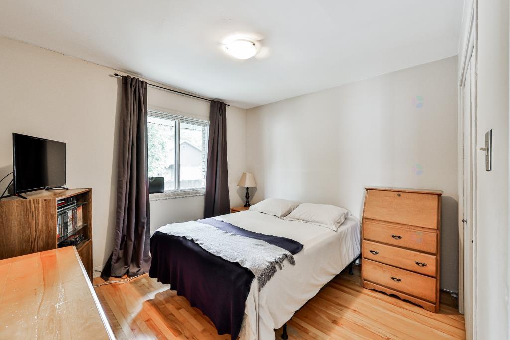 media - 2025-09-17T171706.271