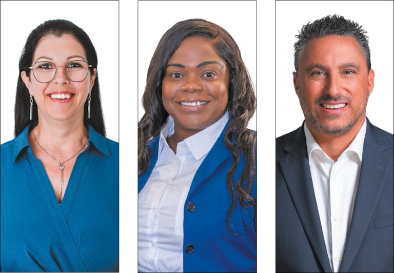 Trois candidats sollicitent la confiance des électeurs de Laval-les-Îles dans la présente campagne. Dans l’ordre habituel, il s’agit de Julie Beaulieu (Parti Laval - Équipe Larochelle), Nancy Celestin (Action Laval) et Yannick Langlois (Mouvement lavallois - Équipe Stéphane Boyer).