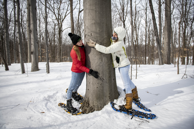 CANOPÉE - le réseau de la forêt urbaine lance un appel à projets pour animer le bois Papineau à l’hiver 2026.