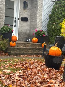 Citoyens et commerçants constatent que les citrouilles d’Halloween qu’ils déposent sur leurs balcons et étalages se font dévorer plus qu’à l’habitude cette année.(Photo gracieuseté) 