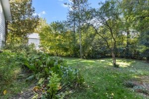 media - 2025-10-20T151624.684