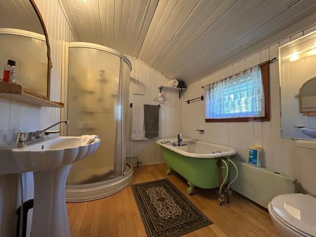 media - 2025-10-20T151650.960