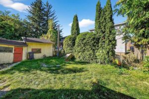 media - 2025-10-20T152134.464