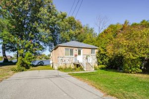 media - 2025-10-20T153256.828