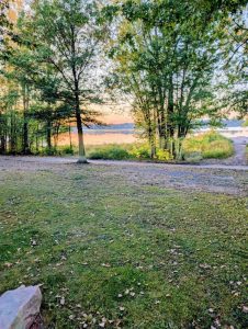 media - 2025-10-20T153809.754