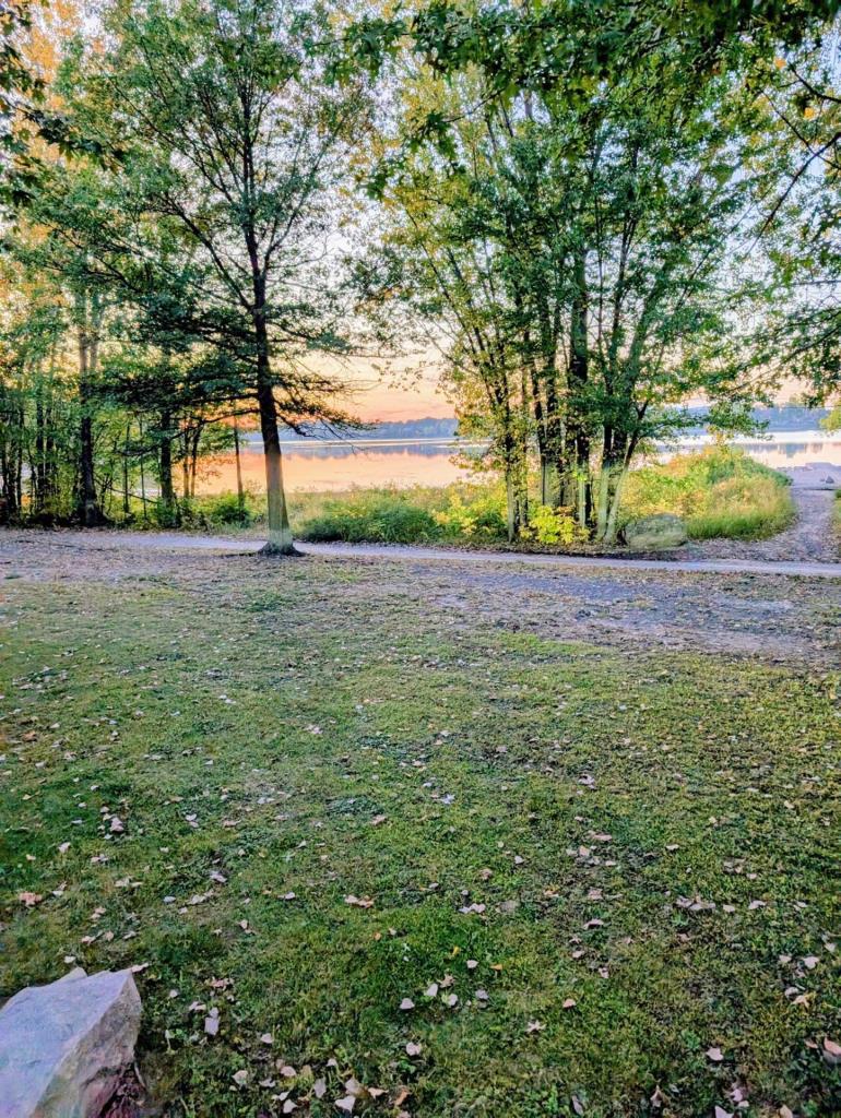 media - 2025-10-20T153809.754