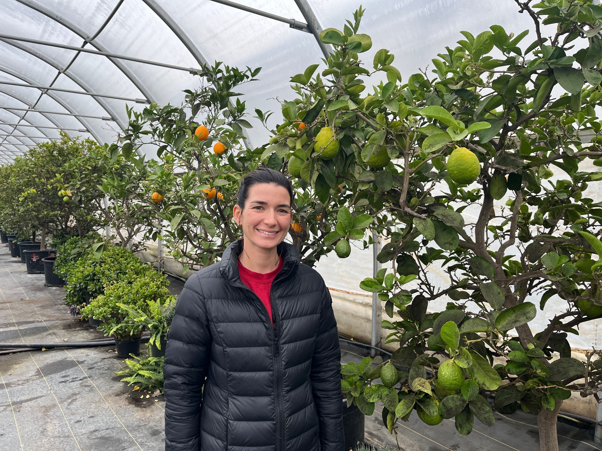 Vyckie Vaillancourt, fondatrice d’O’Citrus, et copropriétaire de la Ferme Vaillancourt, dans les serres d’O’Citrus. (Photo 2M.Media - Geneviève Quessy)