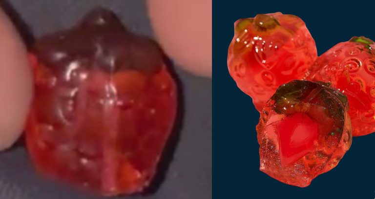 Du métal trouvé dans un bonbon d’Halloween à Laval Une tige de métal a été retrouvée dans un bonbon de type jujube donné dans le secteur Champfleury, à Laval. (Photos gracieuseté - Service de police de Laval)
