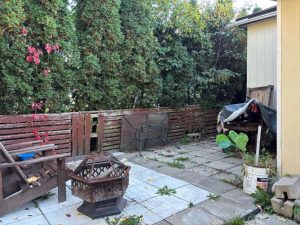 media - 2025-11-21T163906.702