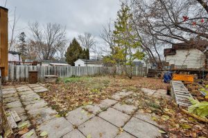 media - 2025-11-21T165340.878