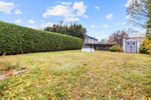 media - 2025-11-21T170800.133