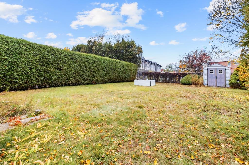 media - 2025-11-21T170800.133