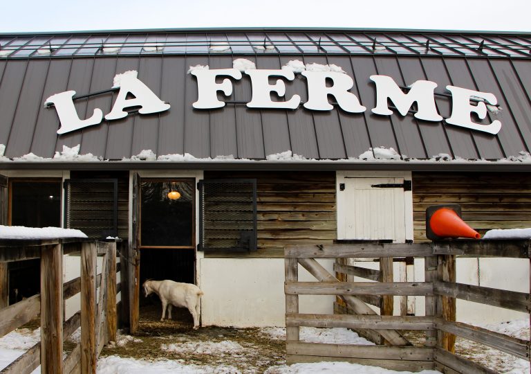 La fermette du Centre de la nature devrait fermer progressivement ses portes d’ici juin 2026. Photo gracieuseté – Luc Grenier)