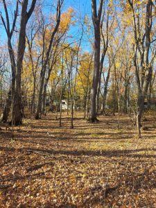 media - 2025-12-19T153252.039