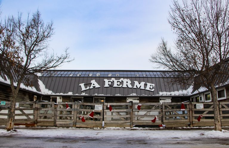 La pétition lancée par un citoyen de Saint-Vincent-de-Paul pour sauver la fermette du Centre de la nature a dépassé aujourd’hui les 19 800 signatures.