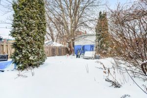 media - 2026-01-23T152718.128