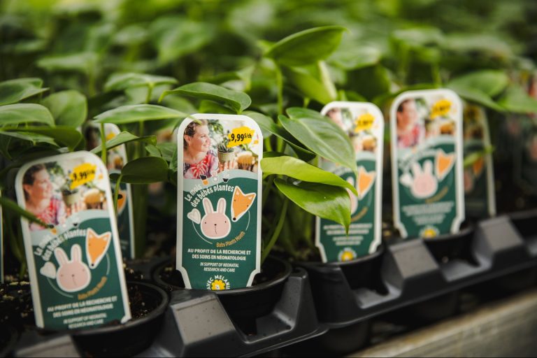 À Laval, quatre centres de jardin participent au Mois des bébés plantes. (Photo gracieuseté - Page Facebook Avec Mélanie)