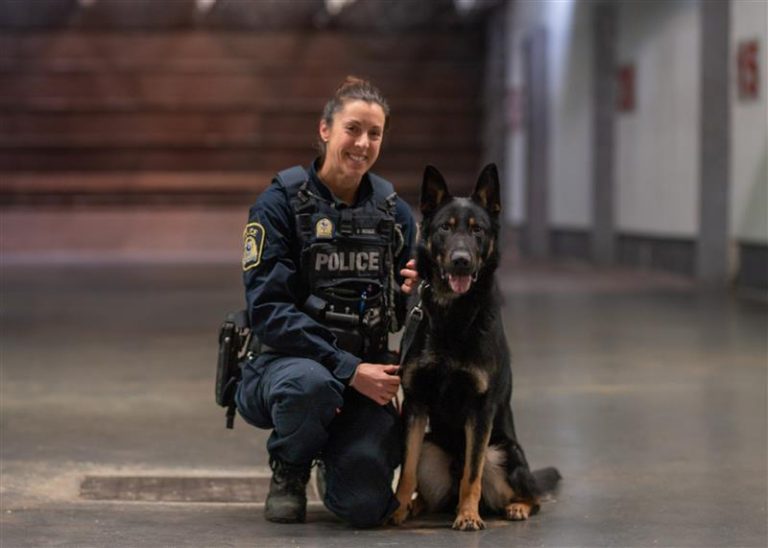 La maître-chien Véronique Houle et son berger allemand policier Raddix. (Photo gracieuseté)