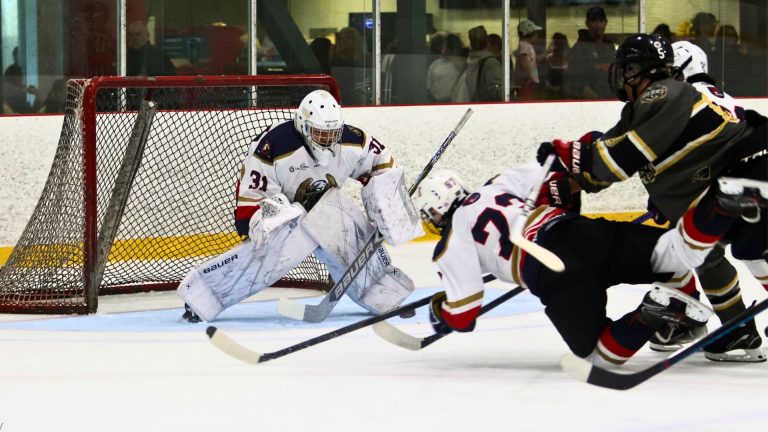 Plus de 160 équipes ont souhaité s'inscrire à la première édition du Tournoi international M15 du Grand Montréal. (Photo gracieuseté - Nathalie Joyal)