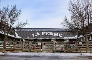 La pétition lancée par un résident de Saint-Vincent-de-Paul pour sauver la fermette du Centre de la nature a atteint à ce jour 20 260 signatures.