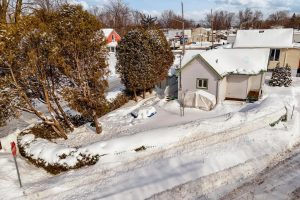 media - 2026-02-20T093226.627