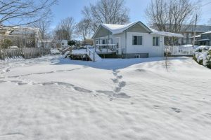 media - 2026-02-20T093834.325