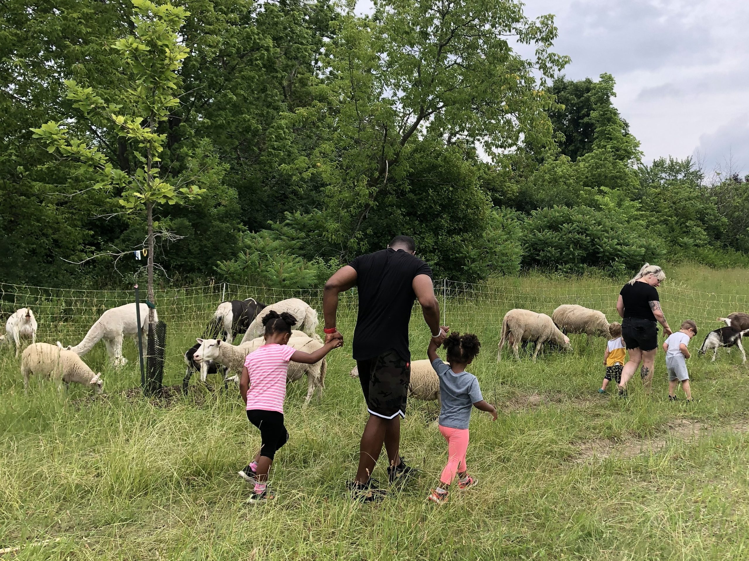 Animaux de la Ferme mobile PACE. (Photo gracieuseté - Ferme mobile PACE)