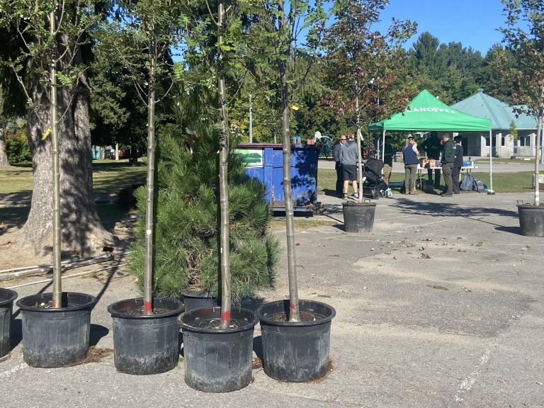 OBNL lavallois spécialisé en verdissement urbain, CANOPÉE étend son influence à la ville de Blainville où il prend en charge les travaux de déminéralisation et de plantation d’arbres d’un programme municipal muni d’une enveloppe de 350 000 $.