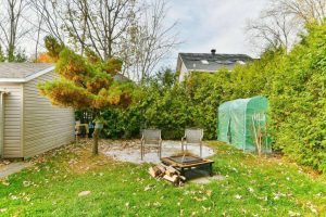 media - 2026-04-03T162708.630