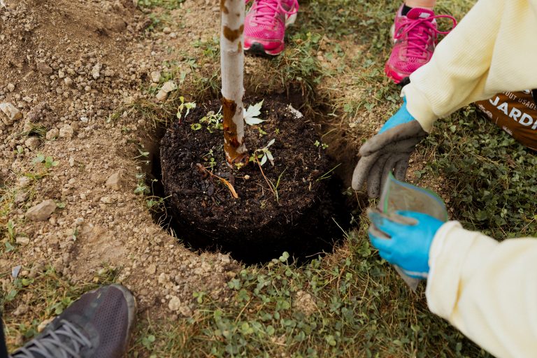 PlantAction Laval annonce le retour de sa campagne «Jamais sans mon arbre».