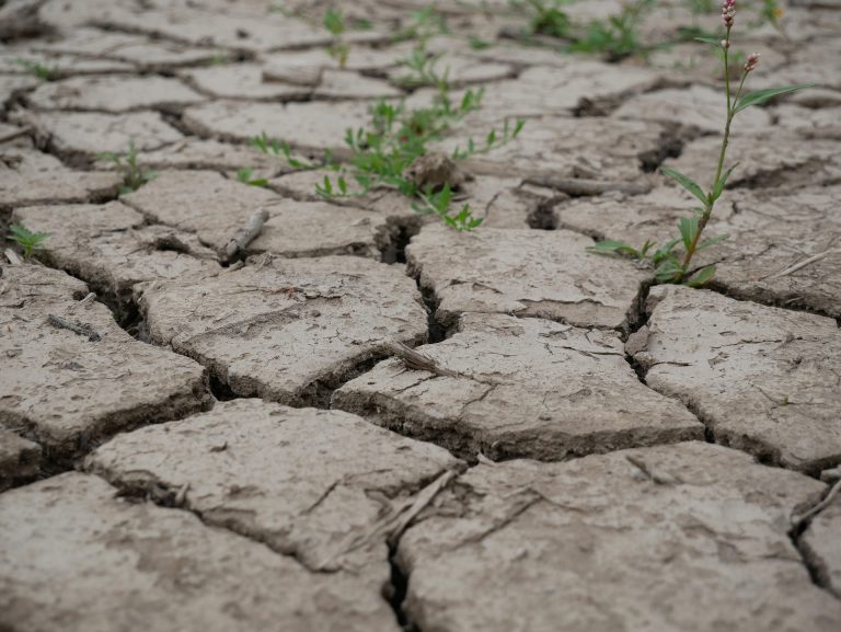 En raison du réchauffement climatique, les précipitations sont de plus en plus courtes et intenses, observent deux professeurs d’université. (Photo gracieuseté – pixabay)