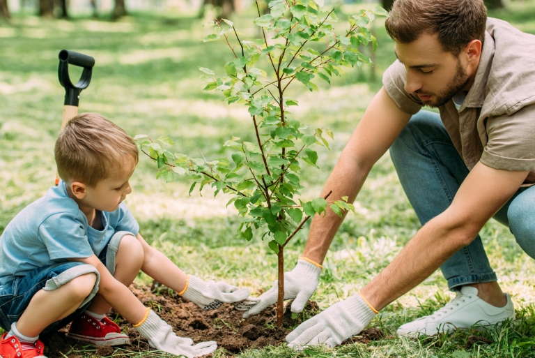 Cette photo n’illustre évidemment pas les pousses qui seront offertes gratuitement, mais plutôt l’atelier de plantation qu’animera CANOPÉE afin de transmettre les bonnes pratiques pour assurer la croissance des arbres.