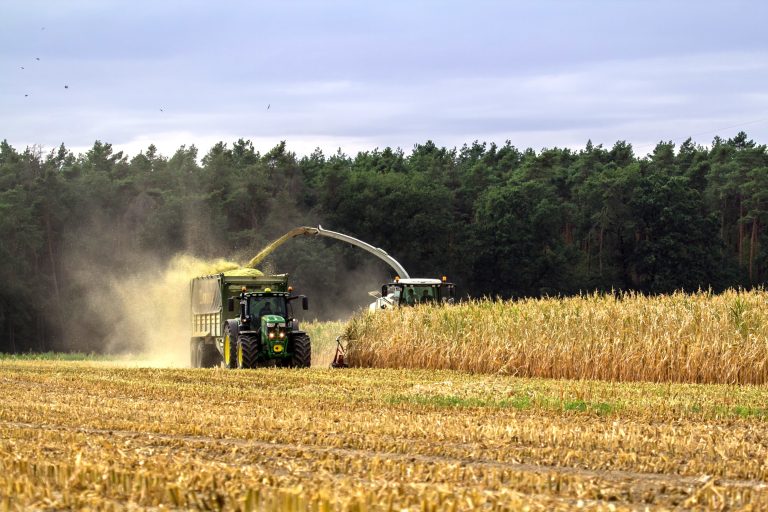 Bonification du programme d’appui financier à la relève agricole Le Programme d’appui financier à la relève agricole (PAFRA) bénéficiera d’une bonification significative. (Photo Pixabay)