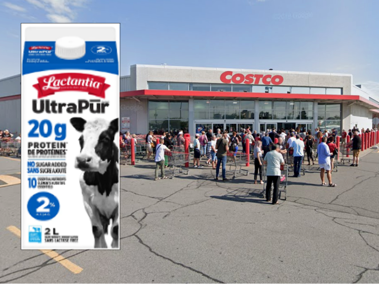 Lait protéiné sans lactose 2% avec 20 g de protéines UltraPūr de marque Lactantia pouvant avoir été vendu au Costco de Laval situé au 2999, Autoroute Jean-Noël-Lavoie. (Photo gracieuseté et capture d'écran - Google Maps)