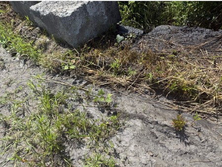 Déversement illégal de matière dangereuse dans un fossé à Fabreville La police de Laval enquête actuellement sur un déversement d’une matière jugée potentiellement dangereuse dans un ruisseau longeant le boulevard Dagenais Ouest, à Fabreville. (Photo gracieuseté)