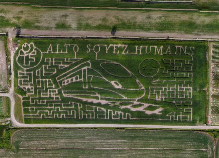 La Ferme Forget lance son labyrinthe de maïs… et un message à Alto Le labyrinthe géant de la Ferme Forget. (Phot gracieuseté)