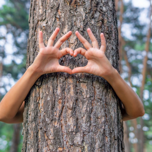 La forêt urbaine s’animera sous le signe des arts et de la culture cet automne CANOPÉE dévoile sa programmation d’automne dans les bois de Laval.