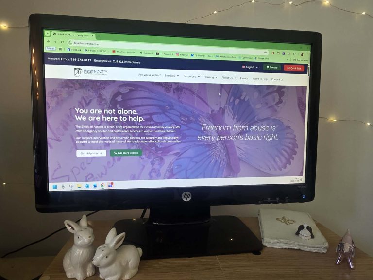 Le Bouclier d’Athéna lance son site web multilingue L'année dernière, une femme sur deux accueillie au centre d'hébergement du Bouclier d'Athéna était confrontée à une barrière linguistique. (Photo 2M.Media - Corinne Prince)