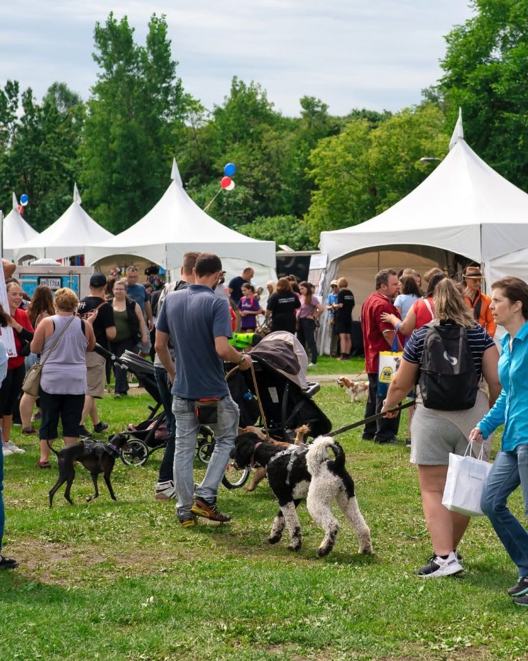 Le Rendez-Vous Canin est de retour au Centre de la nature avec des nouveautés Le Rendez-Vous Canin est de retour pour une 7e année. (Photo gracieuseté : Facebook Le Rendez-Vous Canin)