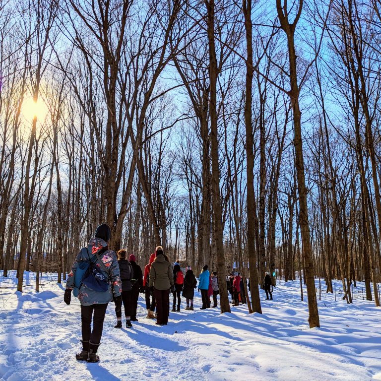 L’organisme CANOPÉE, chargé d’animer les bois de Laval, veut entendre les idées d’activités des Lavalloises et Lavallois pour sa programmation d’hiver. (Photo gracieuseté – CANOPÉE)